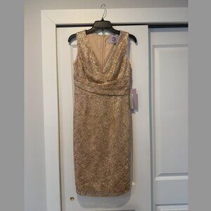 JS Collection V-Neck Cocktail Dress, NWT